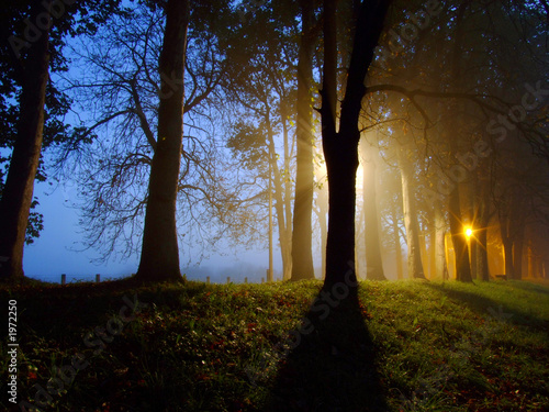 dawn and raylights