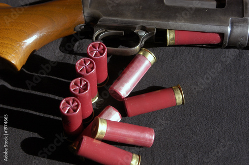 shotgun and shells