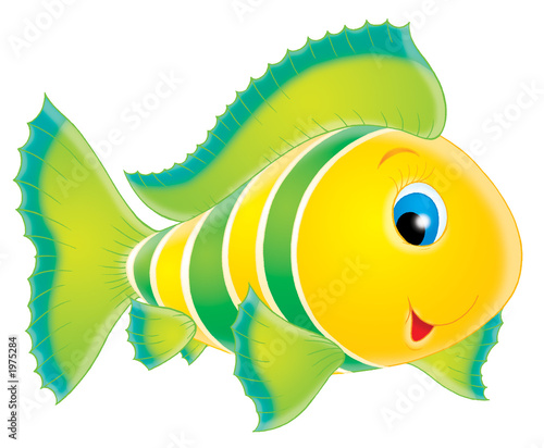 Canvas Print coral fish