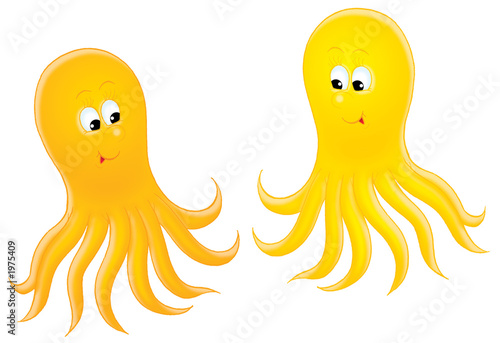 yellow octopus