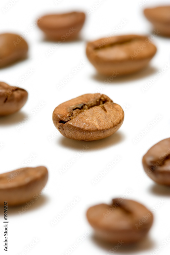 a few coffee beans a few coffee beans