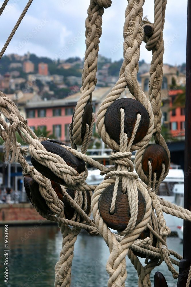 Fototapeta premium ropes