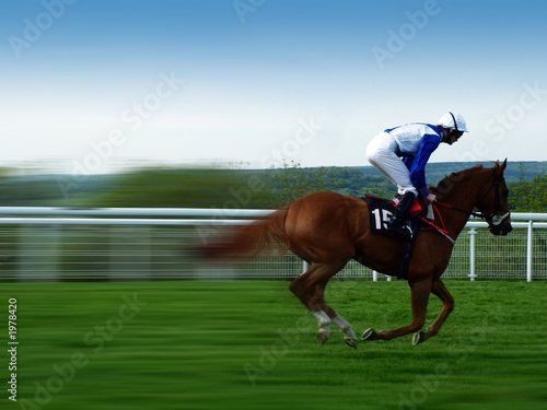 race horse © Sean Gladwell