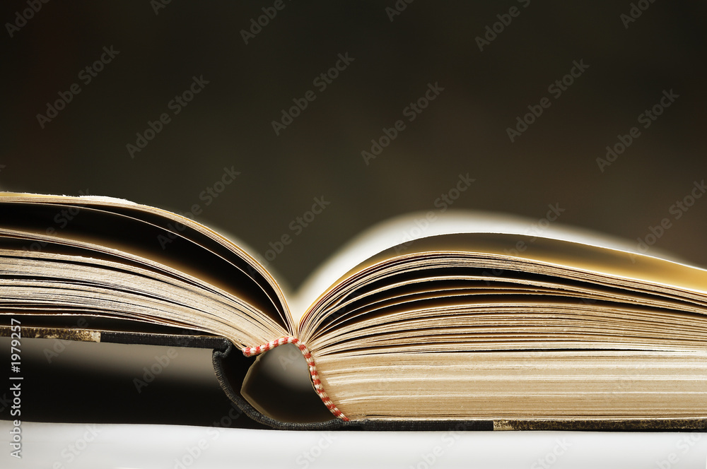Fototapeta premium otwarta książka