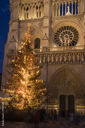christmas at notre-dame #1980656
