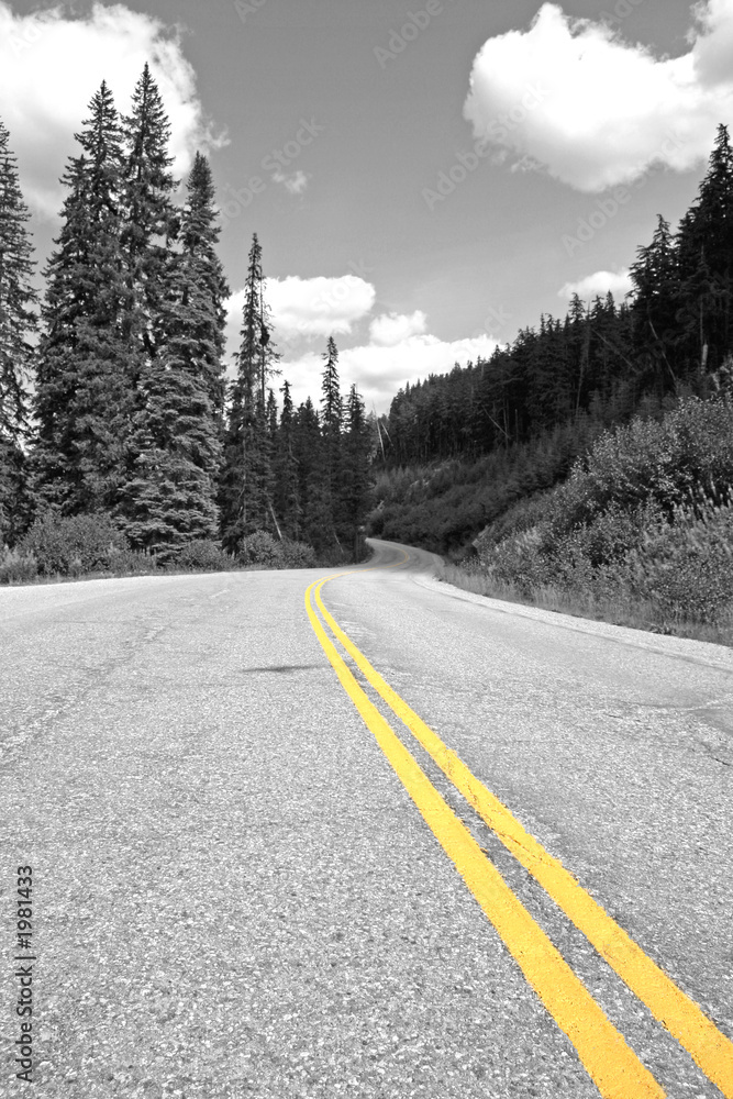Naklejka premium Black and White Forest Highway in British Columbia with Yellow Road Markings Leading to the Horizon