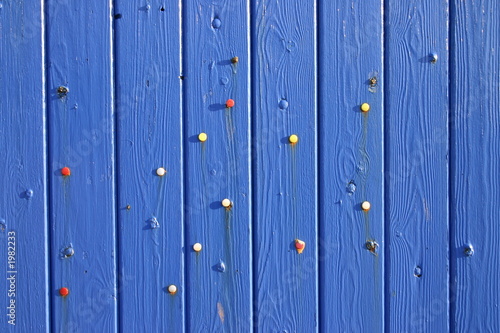 color drawing pins on a blue wooden door.