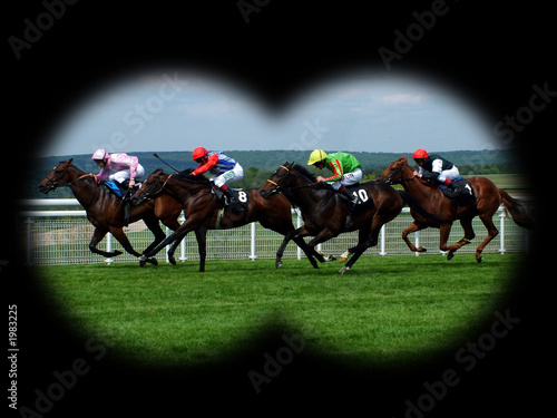 horse race Fototapet