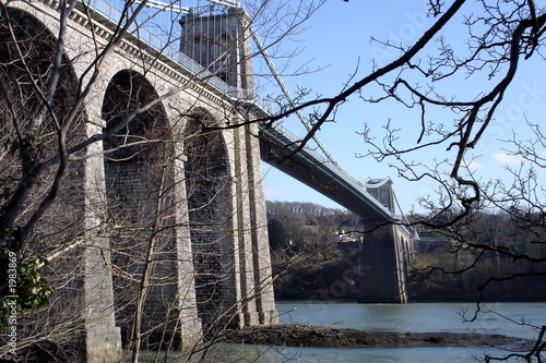 menai suspension bridge through trees photo