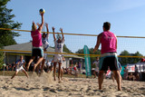 dutch national beach volley team