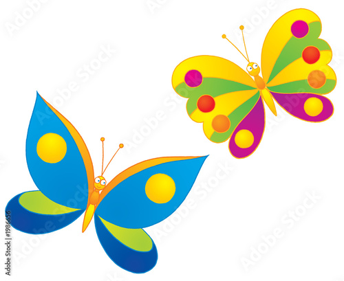 butterfly