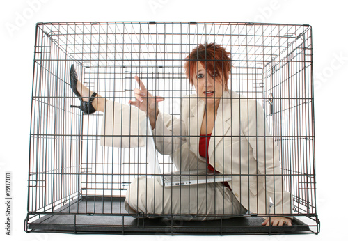 Картината върху платно caged