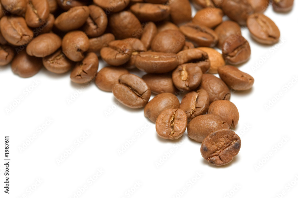coffee bean close up coffee bean close up