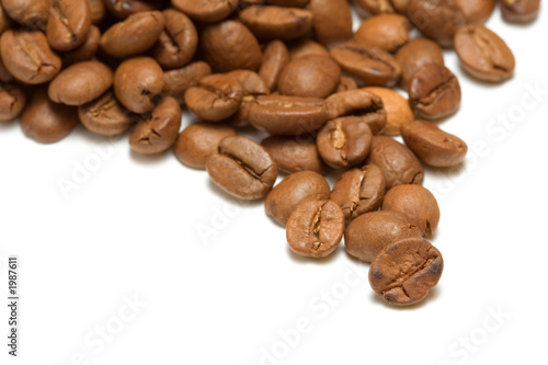 coffee bean close up