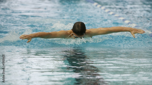 butterfly swim