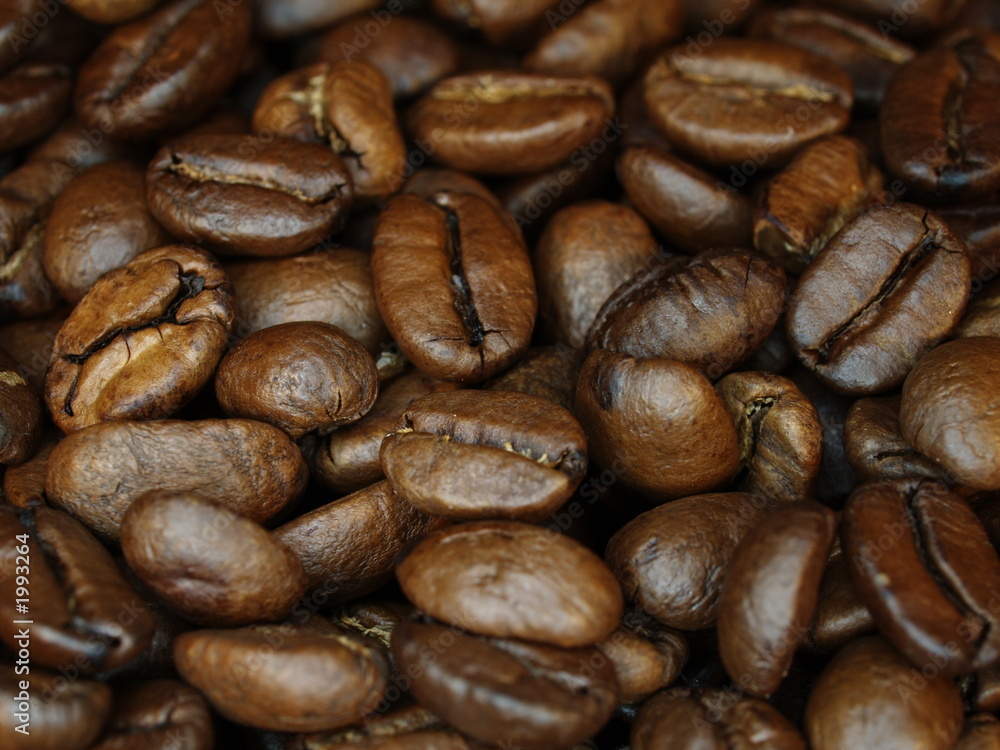kaffee bohnen kaffee bohnen