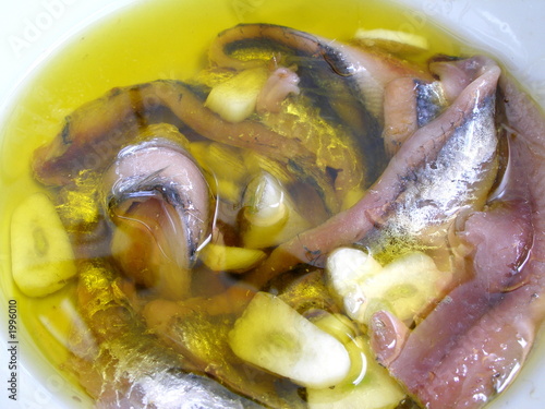 anchois photo