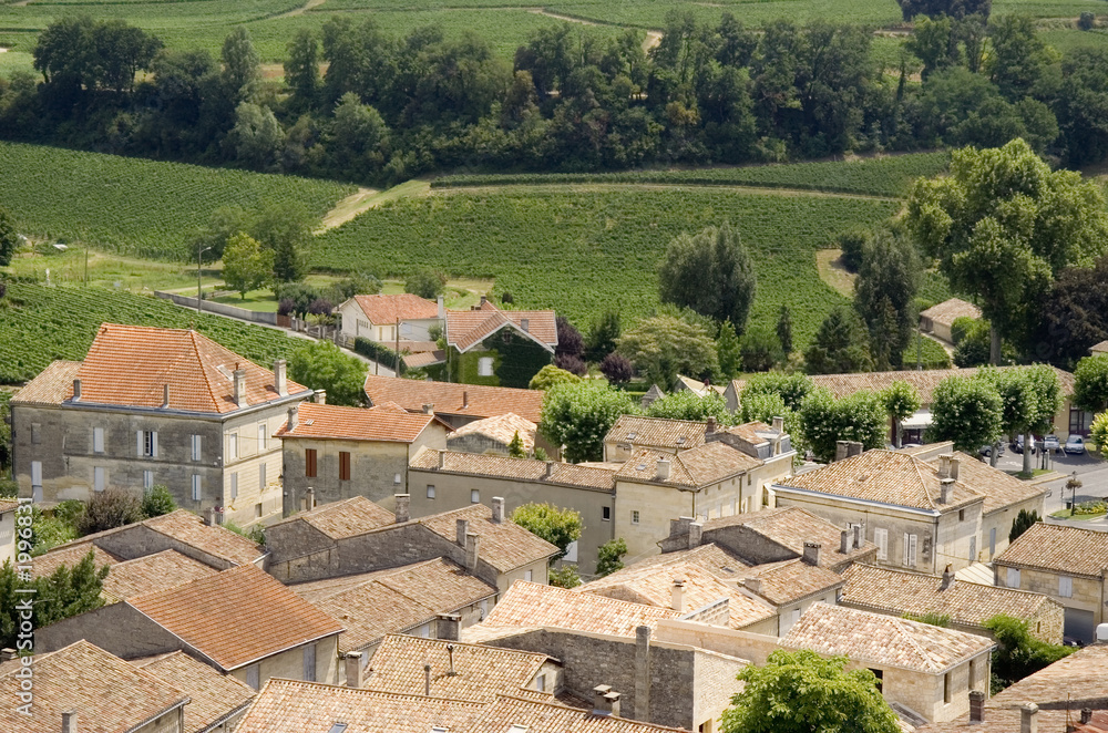 view over saint-emilion and vineyards