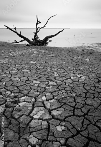desolation