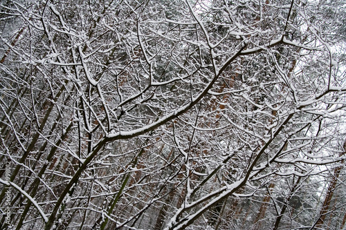 heavy snow 2