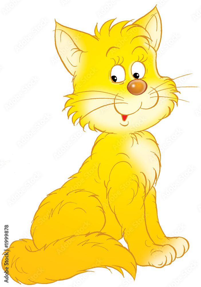 Fototapeta premium cat