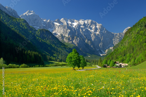 spring in alpine valley in northern slovenia photo