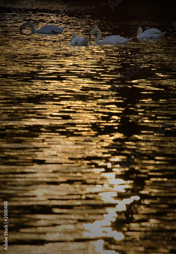 reflets d'automne