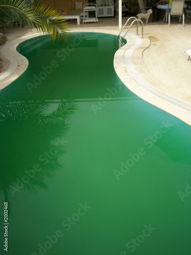 green pool photo