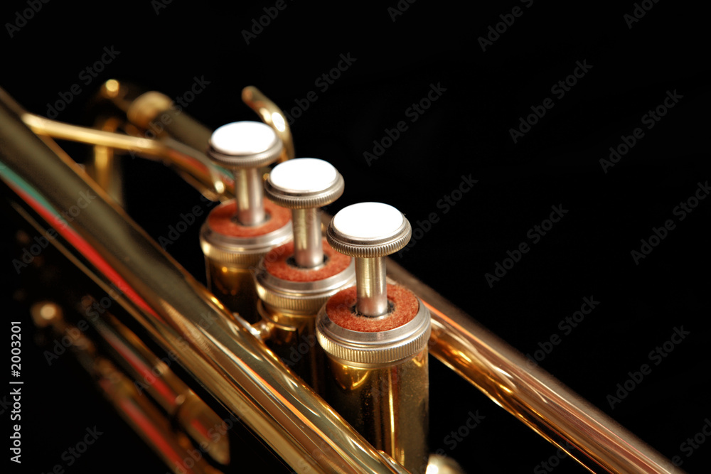 Naklejka premium trumpet valves