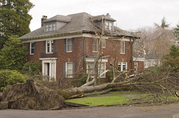 Keuken achterwand Onweer Huis met boomschade na storm  © searagen