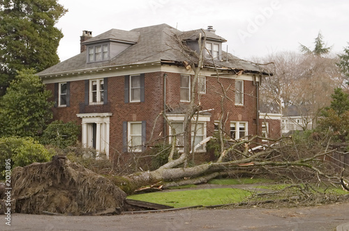 house with tree damage