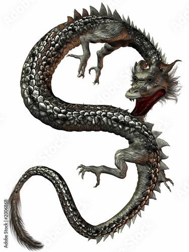 eastern dragon photo