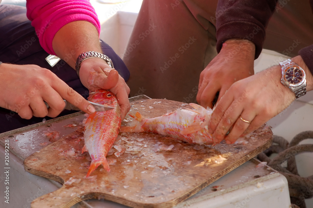 fishing series - cleaning a fresh fish