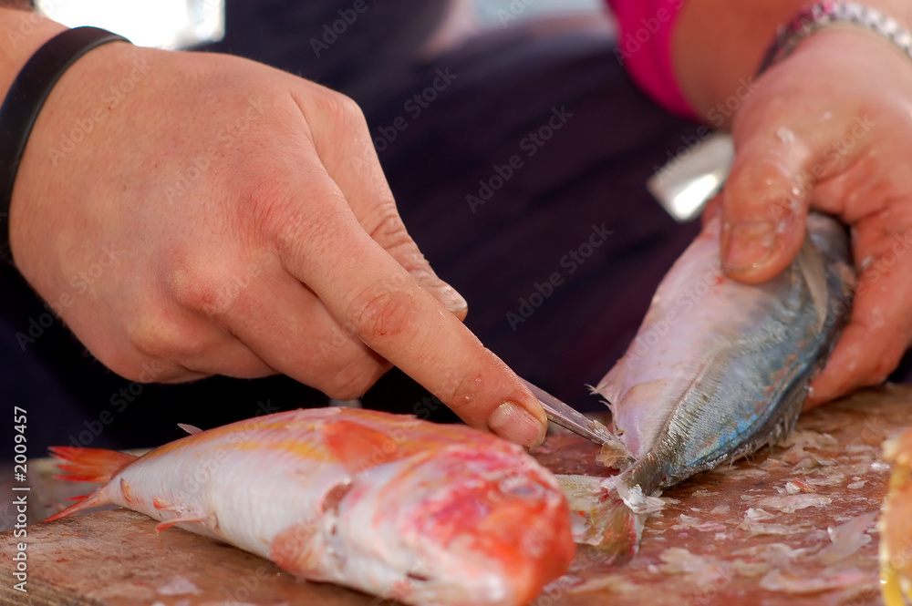 fishing series - cleaning a fresh fish