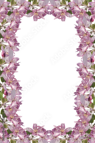 blossom frame