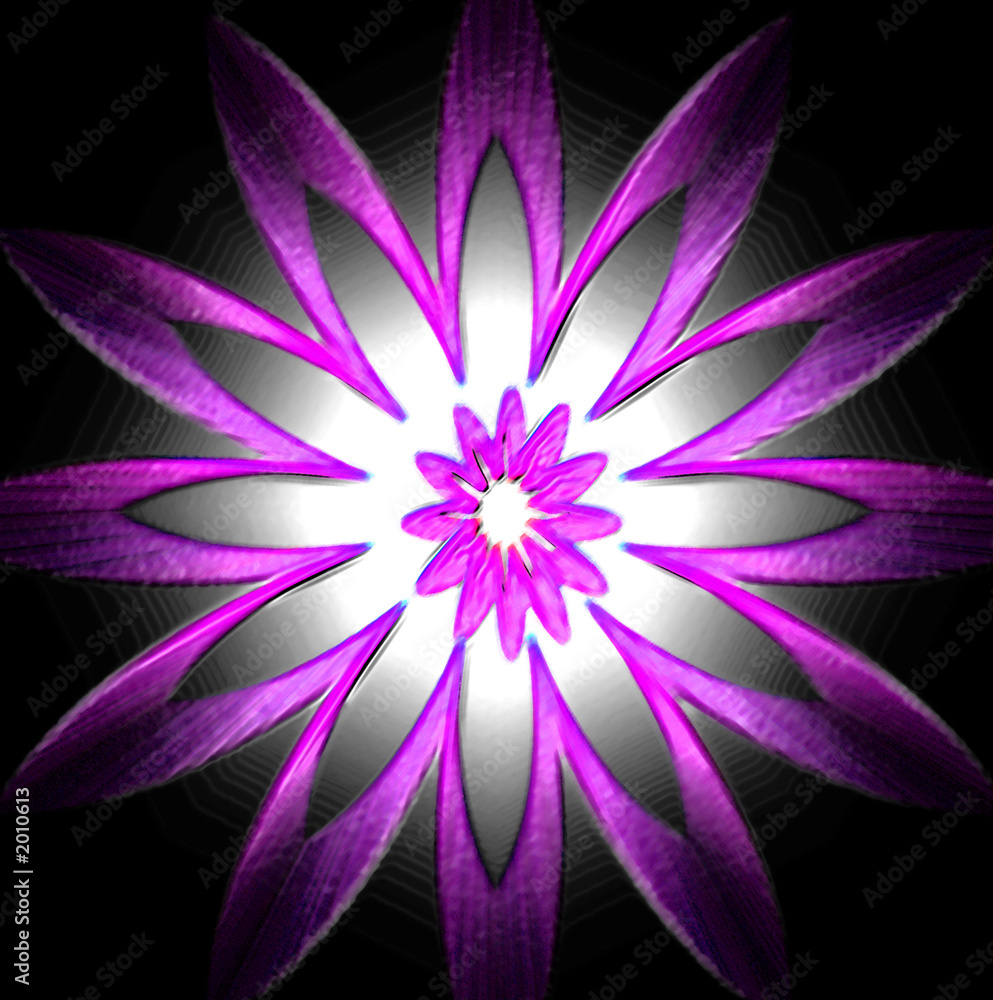 Fototapeta premium flower