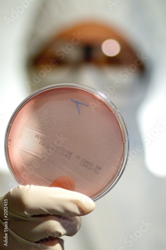 boite de petri et biologiste