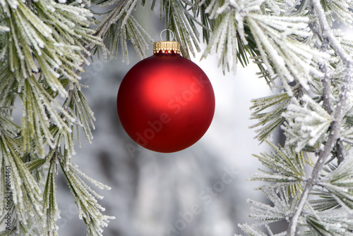 red ornament 1