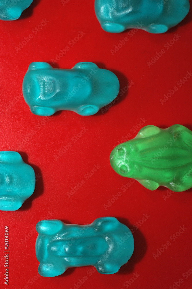 frog frog