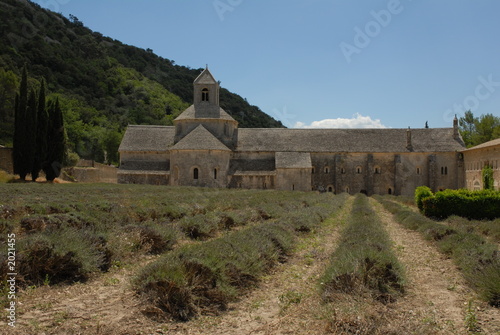 abbaye de sénanque