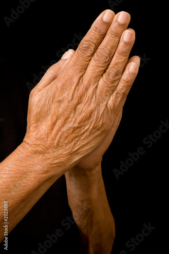 Fototapeta old hands praying