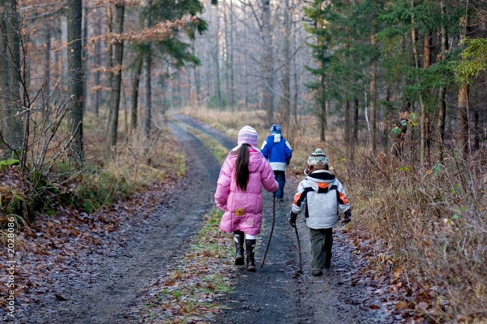 Obraz premium children in forest
