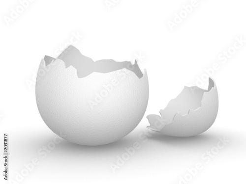 Obraz na plátně eggshell empty broken