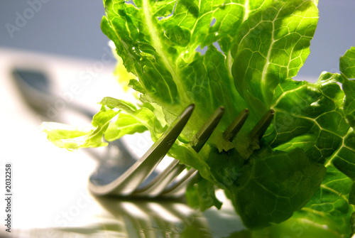 grüner salat no3
