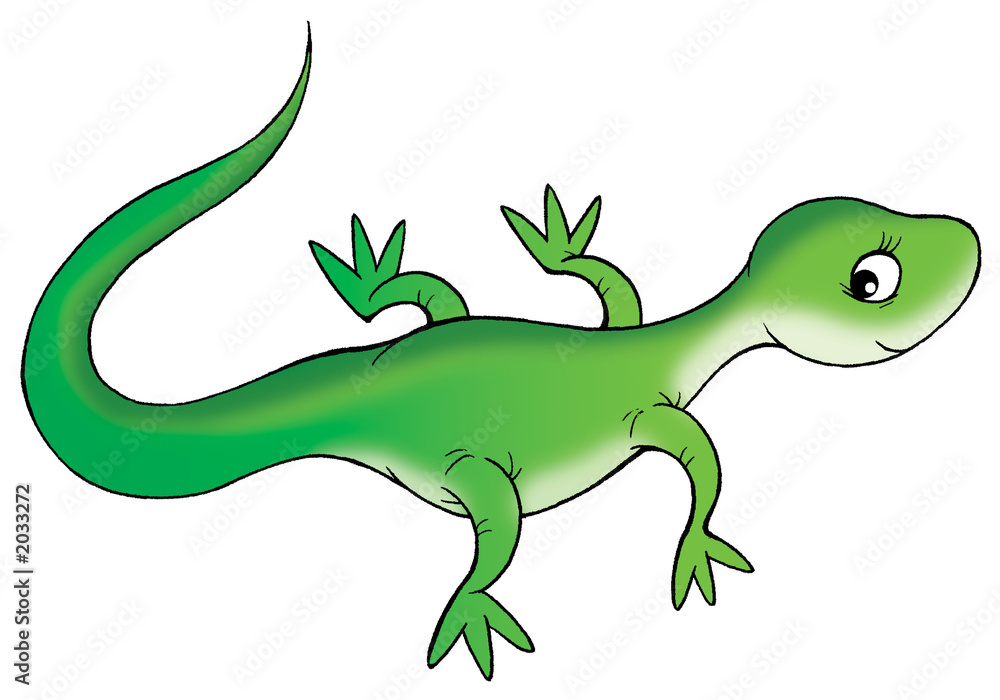 Obraz premium green lizard