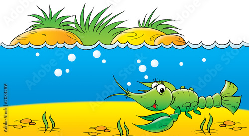 crayfish