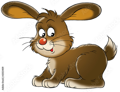 rabbit
