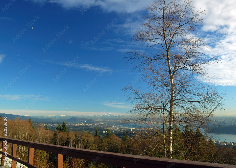 view from cypress mountain