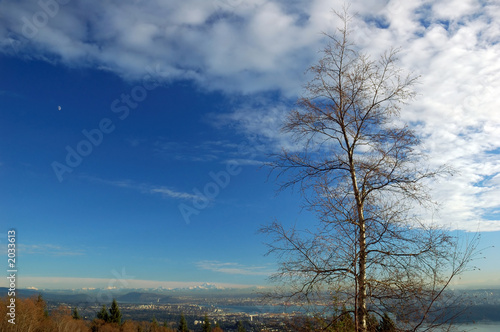 view from cypress mountain