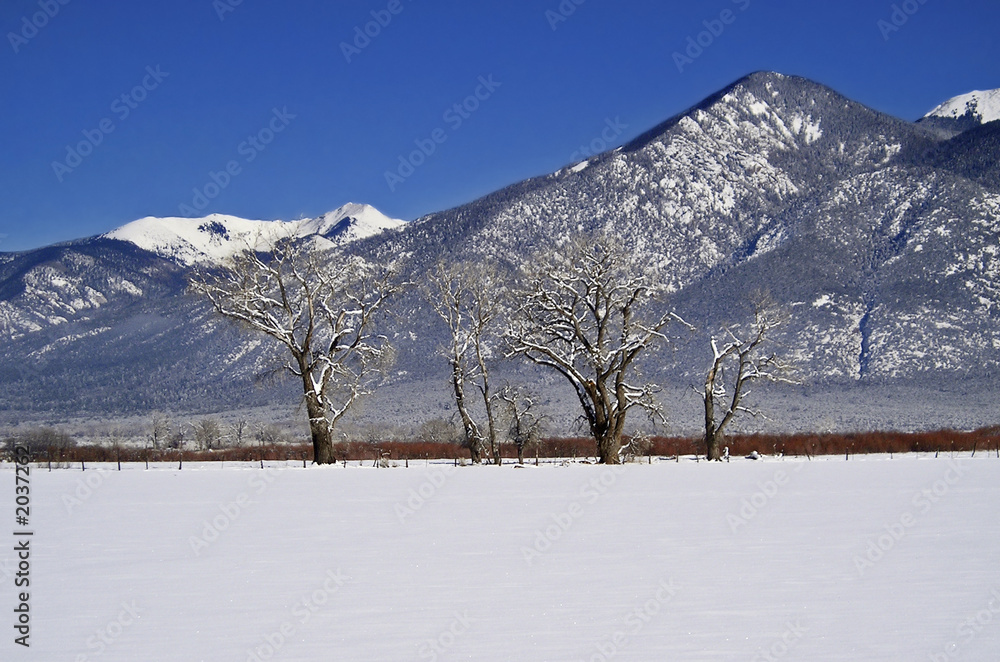 taos mountain winter